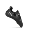 Blackbird (Nuovo) Blackbird (Nuovo)