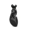 Blackbird (Nuovo) Blackbird (Nuovo)